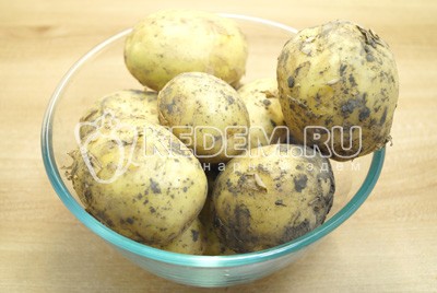 Молодая картошка с укропом