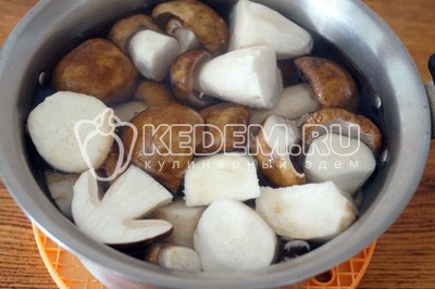 Маринованные белые грибы «Закусочные»