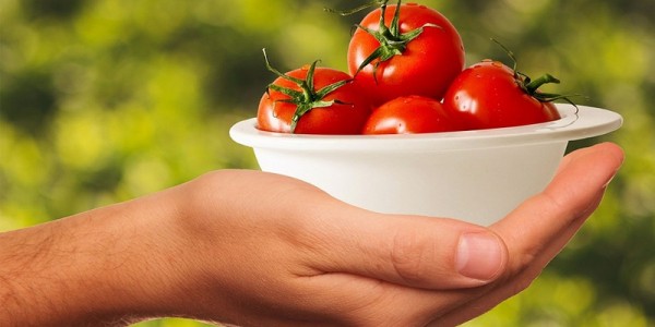 Польза помидоров для организма